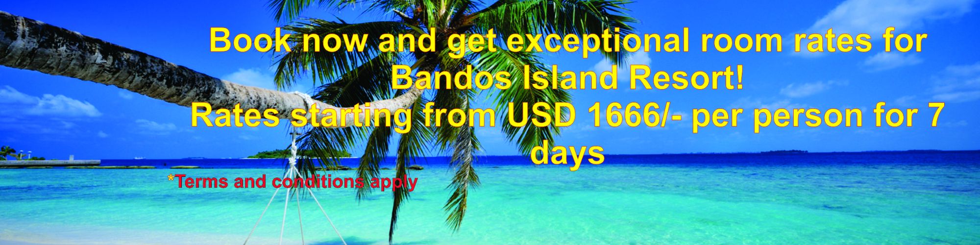 Special Summer Discounts